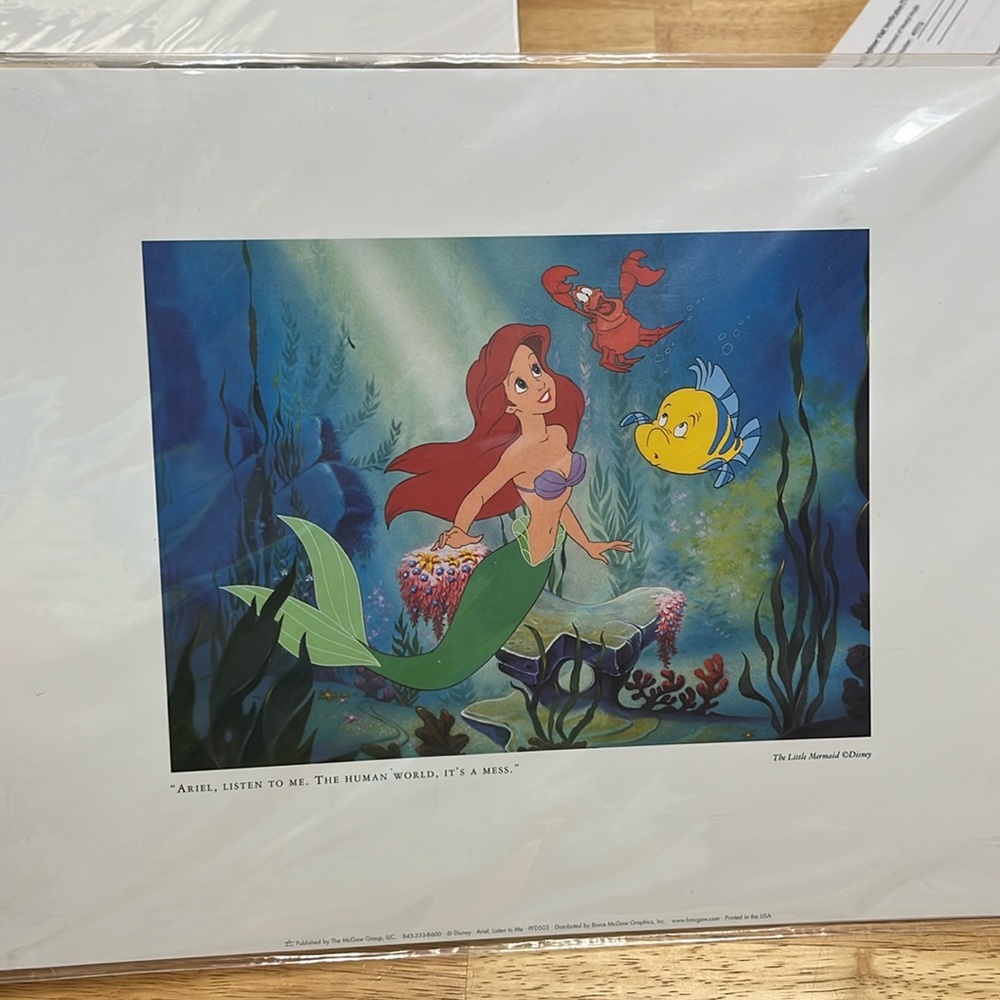 NWT, The Little Mermaid, Ariel, print 76501